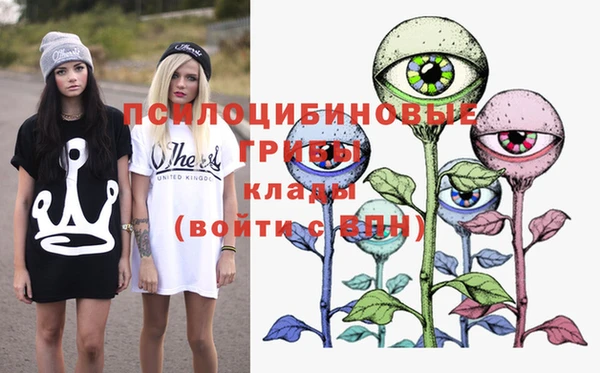 МДМА Богданович