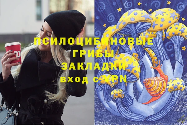 МДМА Богданович