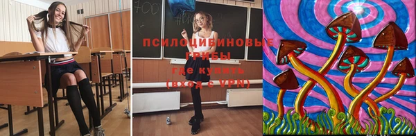 винт Богородицк