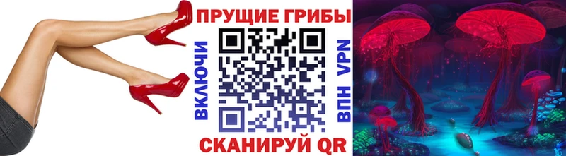Псилоцибиновые грибы Cubensis  Наро-Фоминск 